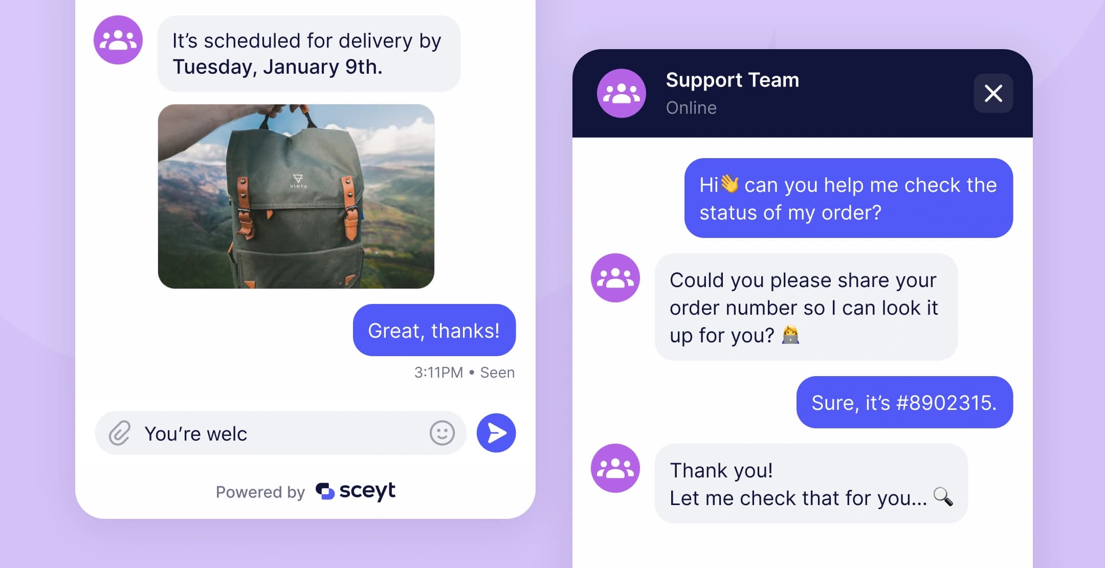 Chat interface with delivery update and chatbot support conversation.